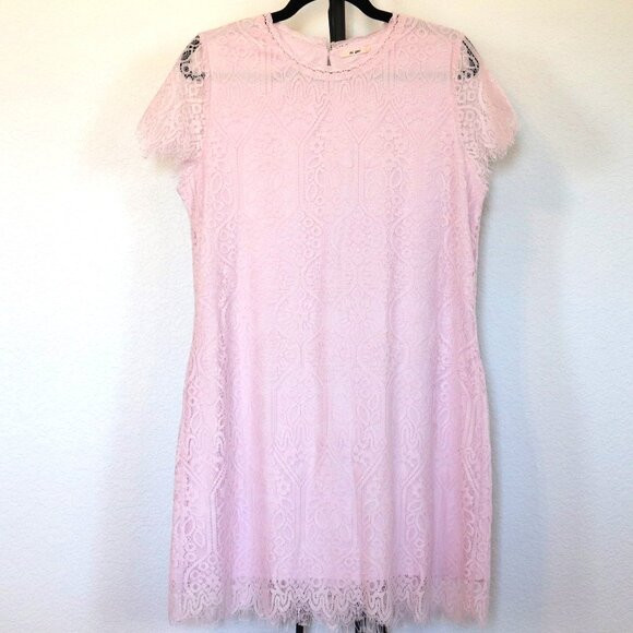 Francesca's | Mi Ami Pastel Pink Lace Dress